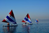 Regata