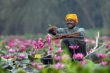 FLORIST