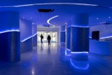 BLUE LIGHT