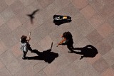 Musicians