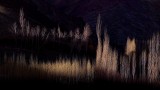 PAINTING WITH LIGHT