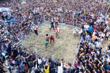Boli Chela. Traditional Games