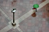 Green umbrella