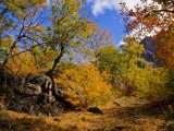 Colores del Otono