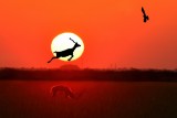Reach for the Skies