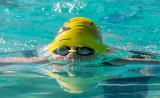 Yellow breast stroke 52017 3-2-Edit-Edit