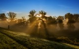 Walk towards the light