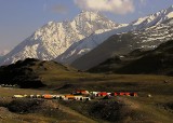 Chandratal Camp