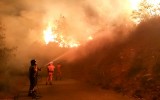 Fire