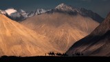 THE LAST LIGHT