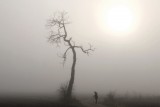 Ravages of time