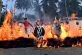 Sankranthi Ritual
