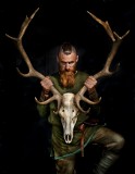 The stag
