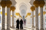 Abu Dhabi Mosque 533